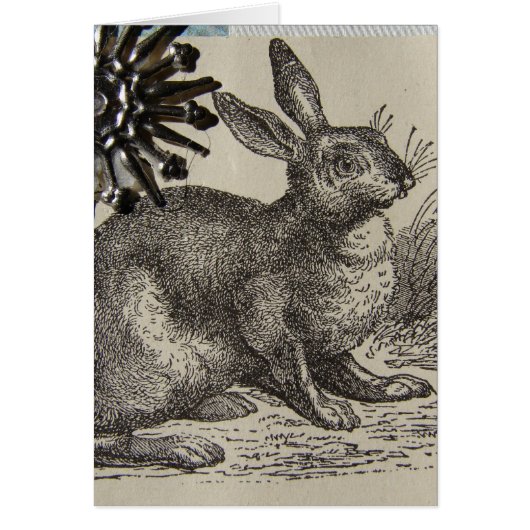 Hare ATC (Voorkant)