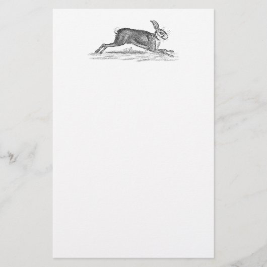  Hare Bunny Rabbit 1800s Illustratie Briefpapier (Voorkant)