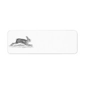 Hare Bunny Rabbit 1800s Illustratie Etiket (Voorkant)