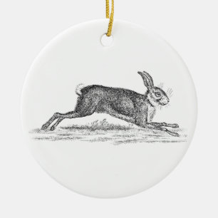 Hare Bunny Rabbit 1800s Illustratie Keramisch Ornament
