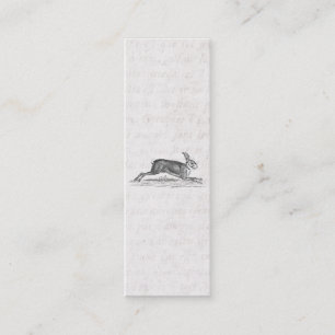  Hare Bunny Rabbit 1800s Illustratie Mini Visitekaartje