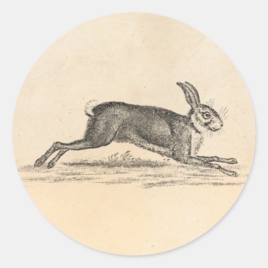  Hare Bunny Rabbit 1800s Illustratie Ronde Sticker (Voorkant)