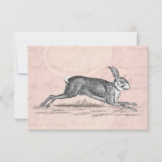 Hare Bunny Rabbit Illustratie - Rabbits (Voorkant)
