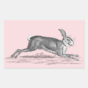  Hare Bunny Rabbit Illustratie - Rabbits Rechthoekige Sticker
