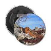 HARE BUTTON FLESOPENER (Voorkant)