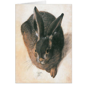 Hare by Albrecht Durer