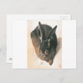 Hare by Albrecht Durer Briefkaart (Voorkant / Achterkant)