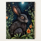 Hare de minuit (Dos)