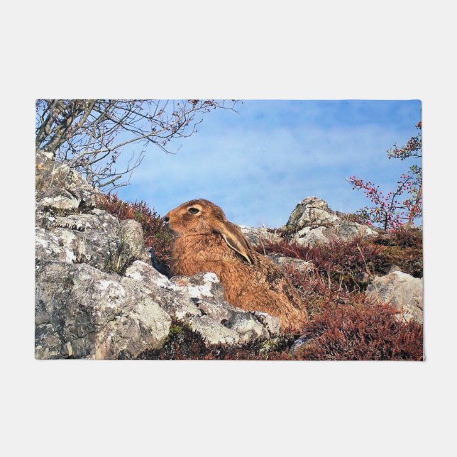 HARE DEURMAT (Voorkant)