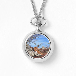 HARE HORLOGE