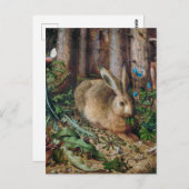 hare in het bos - Hans Hoffmann Briefkaart (Voorkant / Achterkant)