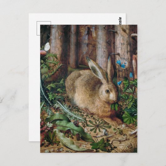 hare in het bos - Hans Hoffmann Briefkaart (Voorkant / Achterkant)