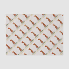 Hare in papies tissuepapier