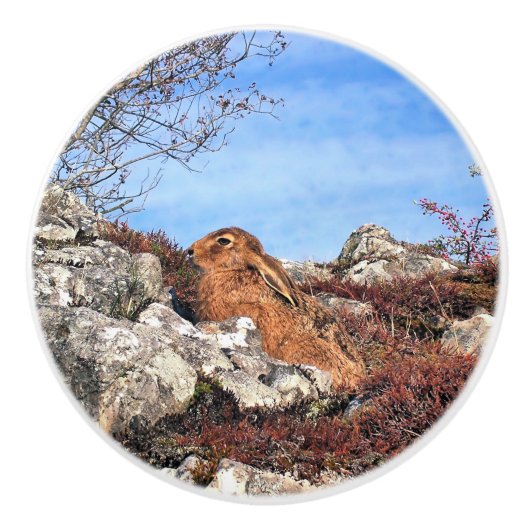 HARE KERAMISCHE KNOP (Voorkant)