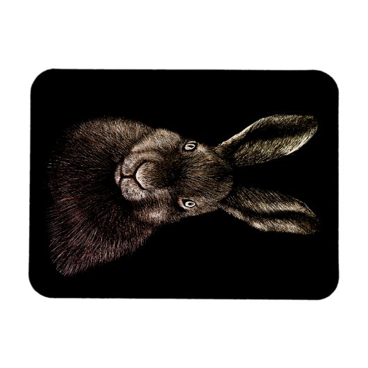 Hare, konijn, tekening magneet (Horizontaal)