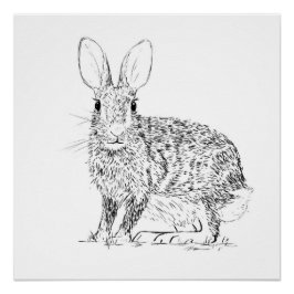 Hare Monochrome Print Perfect Poster
