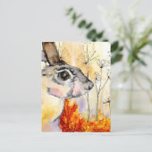 Hare postkaart (a426) (Staand voorkant)