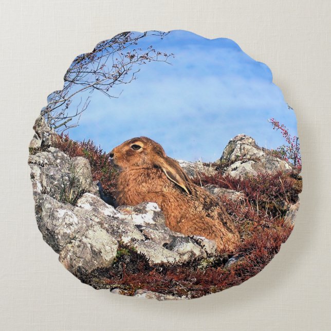 HARE ROND KUSSEN (Voorkant)