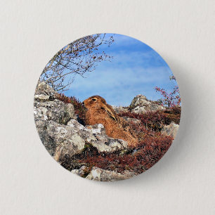 HARE RONDE BUTTON 5,7 CM