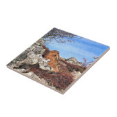 HARE TEGELTJE (Zijkant)