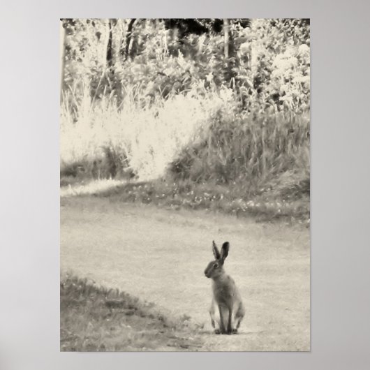 Hare vandaag poster (Voorkant)