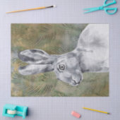 Hare Waterverf Tissuepapier (Craft)