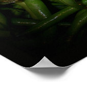 Haricots verts en impression de projecteur (Coin)
