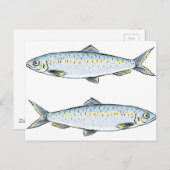 Haring Fish Sketch Briefkaart (Voorkant / Achterkant)