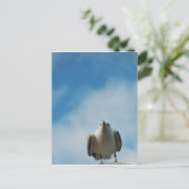 Haring Gull Briefkaart (Staand voorkant)