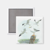 Haring Gull Magnet Magneet (Voorkant / Achterkant)