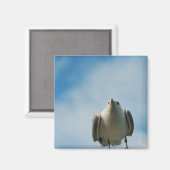 Haring Gull Magnet Magneet (Voorkant / Achterkant)