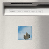 Haring Gull Magnet Magneet (Insitu (Vaatwasser))