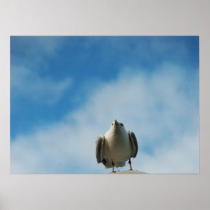 Haring Gull Print