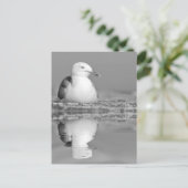 Haringmeeuw met grote reflectie over water briefkaart (Staand voorkant)