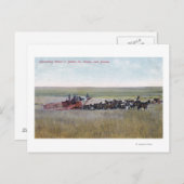 Haringschenkel Briefkaart (Voorkant / Achterkant)