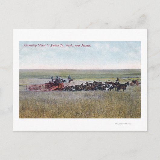 Haringschenkel Briefkaart (Voorkant)