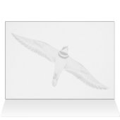 Haringslak (Binnen Horizontaal (Boven))