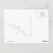 Haringslak Briefkaart (Achterkant)