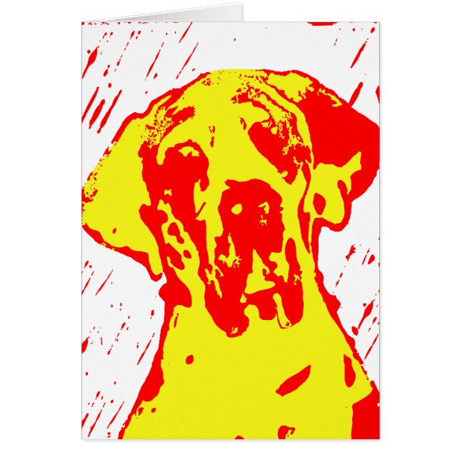 Harle Dane Rouge Jaune (Devant)