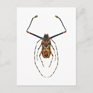 Harlequin Beetle Briefkaart