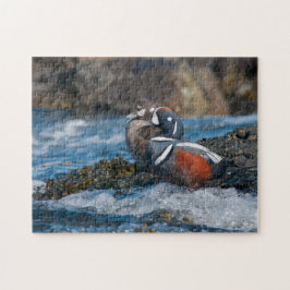 Harlequin Duck in oceaansurf Legpuzzel