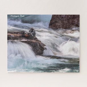 Harlequin Duck Legpuzzel