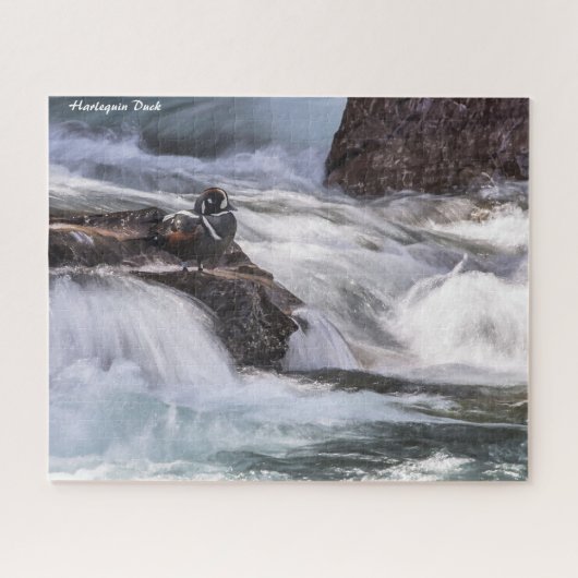 Harlequin Duck Legpuzzel (Horizontaal)