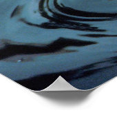 Harlequin Duck Poster (Hoek)