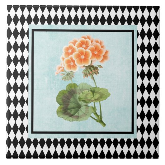 Harlequin-geplateerd geraniumbotanisch tegeltje (Voorkant)