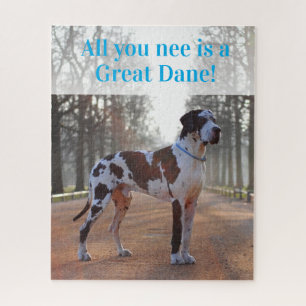 Harlequin Grand Danois Puzzle Personnalisé