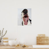 Harlequin Great Dane met open mond, close-up, Poster (Keuken)