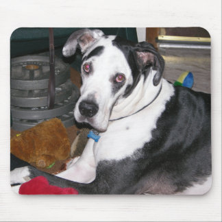 Harlequin Great Dane Muismat