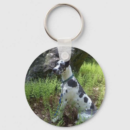 Harlequin Great Dane Sleutelhanger (Voorkant)
