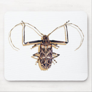 "Harlequin kever" Insect Waterverf Bug Muismat